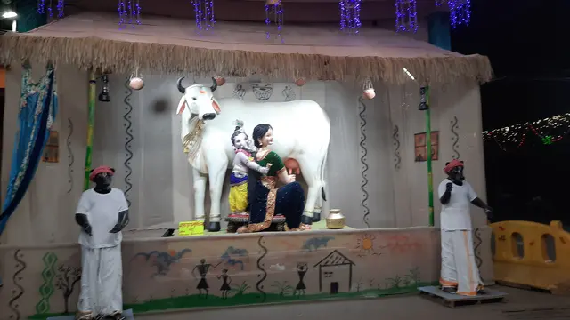 Festival image from Badhaipara 8
