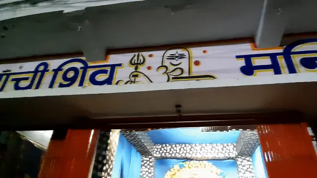 Festival video from Bhatagaon 2