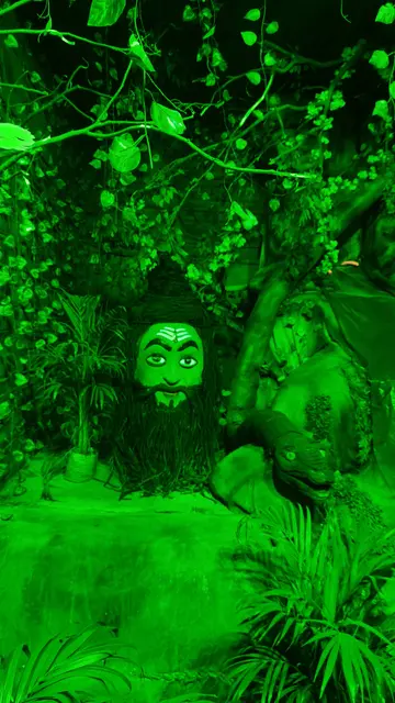 Festival image from Bhatagaon Bus Stand