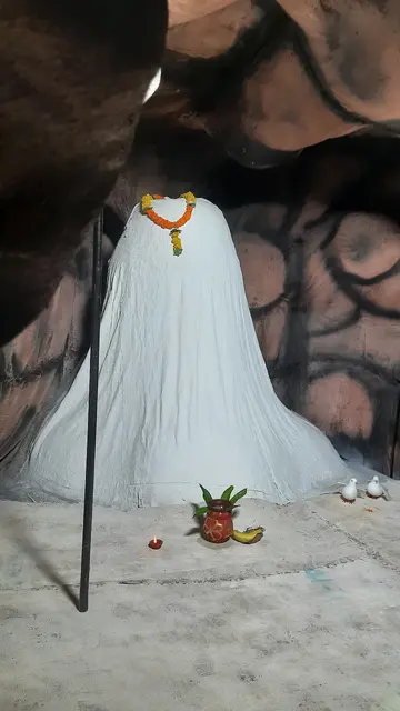 Festival image from Bhatagaon Bus Stand