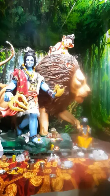 Festival video from Gudhiyari 7