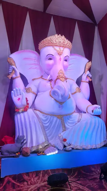 Festival image from Maharajbandh Talab