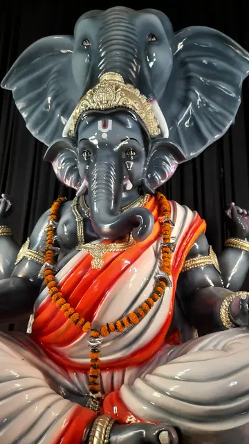 Festival image from Purani Basti 5