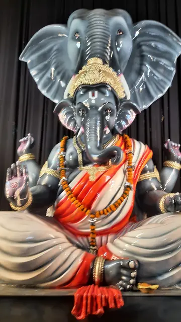 Festival image from Purani Basti 5