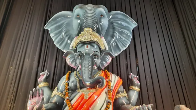 Festival image from Purani Basti 5