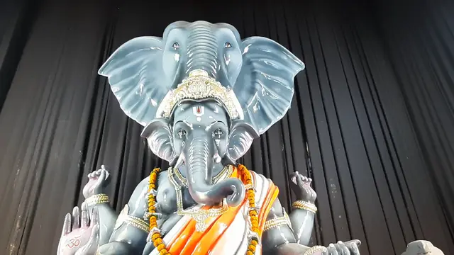 Festival video from Purani Basti 5