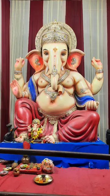 Festival image from Purani Basti 6