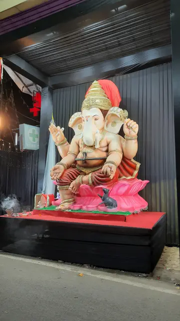 Festival image from Purani Basti 8