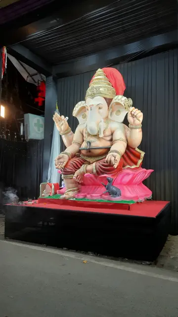 Festival image from Purani Basti 8