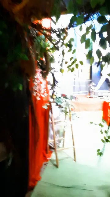 Festival video from Tikrapara 5